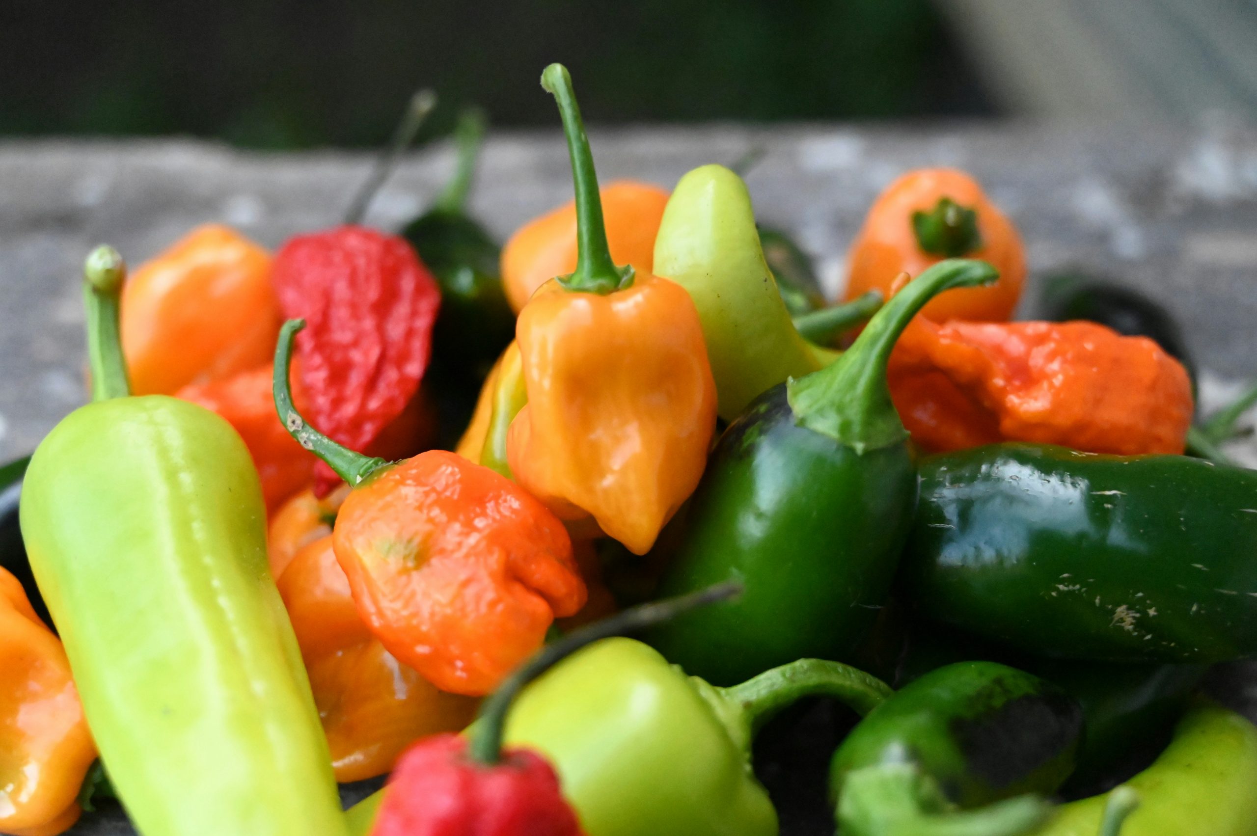 Drie manieren om chilipepers te bewaren: drogen, invriezen en inmaken